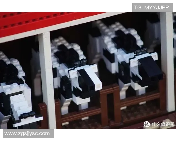 上海极限运动队成员个人能力深度对比与分析探讨 上海极限运动队成员个人能力深度对比与分析探讨